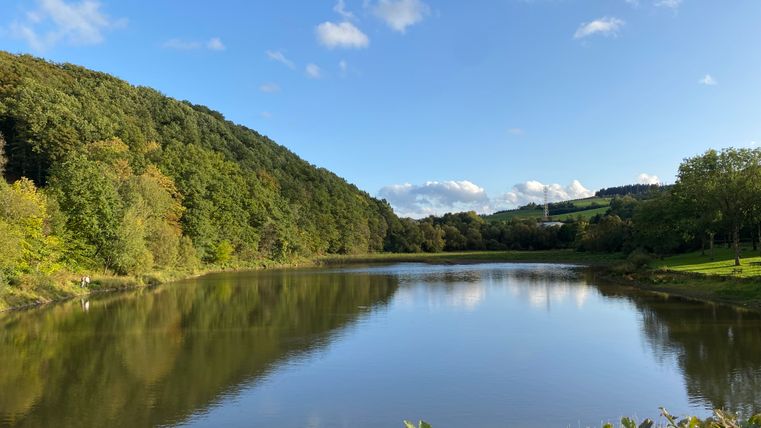 Ein ruhiger Stausee umgeben von grünen Bäumen und Hügeln unter einem blauen Himmel.