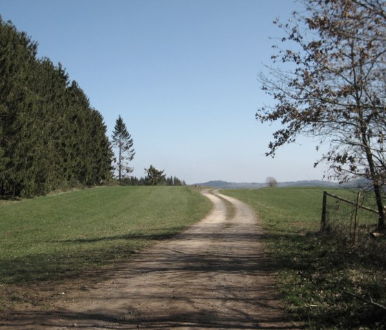Ein Feldweg schl&auml;ngelt sich durch eine gr&uuml;ne Wiese, flankiert von B&auml;umen, unter einem klaren blauen Himmel., &copy; Touristik GmbH Gerolsteiner Land