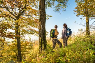 Ein Mann und eine Frau in Wanderkleidung stehen am Randes eines dichten Waldes bei strahlendem Herbstwetter und schauen in die Ferne. 