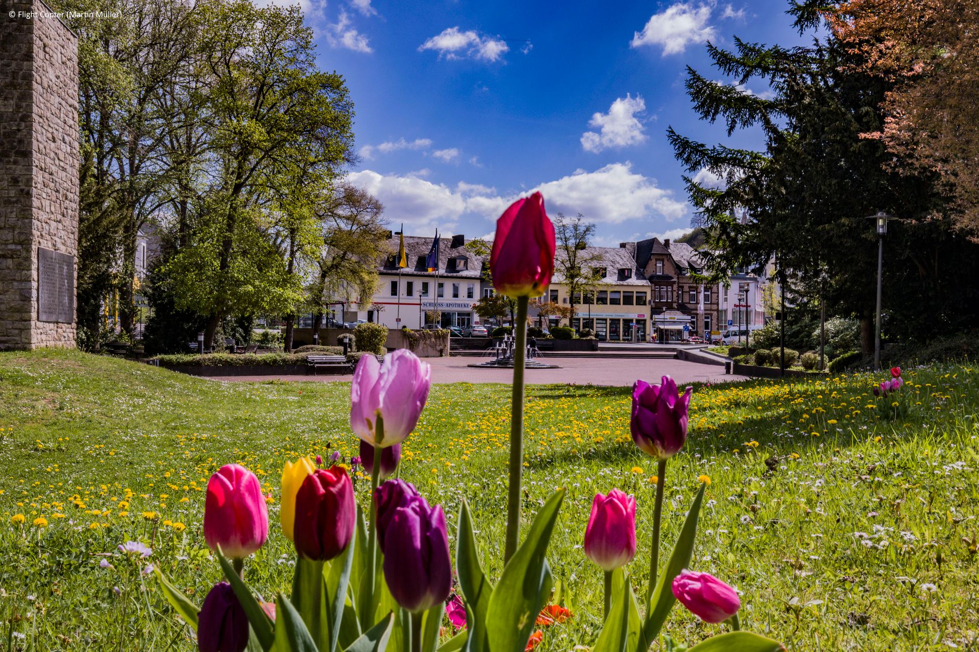 Mit Blumen übersähte Wiese mit bunten Tulpen im Fokus. Dahinter ein Platz mit Brunnen in der Mitte und Geschäftsgebäuden dahinter.
