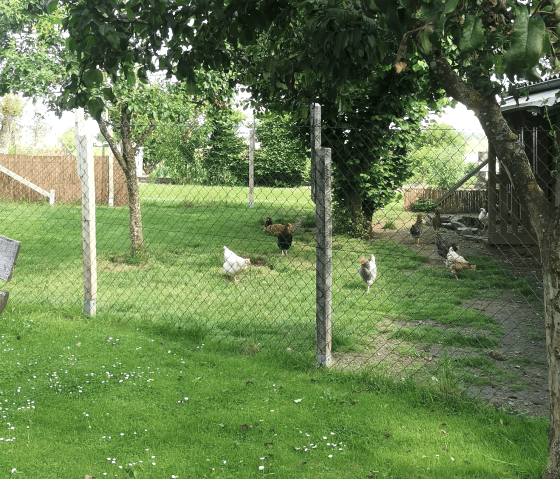 IMG202406 (2)-min, &copy; Horst Benner