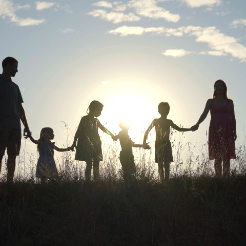 Eine sechsköpfige Familie mit kleinen Kindern steht auf einer Wiese. Alle halten sich an den Händen. Die Sonne geht hinter ihnen unter. Keine Gesichter zu erkennen, da der Schatten auf allen liegt.