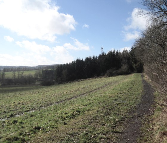 Groene weide met een smal pad dat langs een bos loopt. Op de achtergrond is een zendmast te zien, de lucht is blauw met een paar wolken., &copy; Touristik GmbH Gerolsteiner Land, Ute Klinkhammer