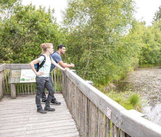Palsen bij Monschau-M&uuml;tzenich, &copy; Eifel Tourismus GmbH, AR-shapefruit AG