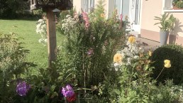 Herzlich Willkommen in Pension Jehnen