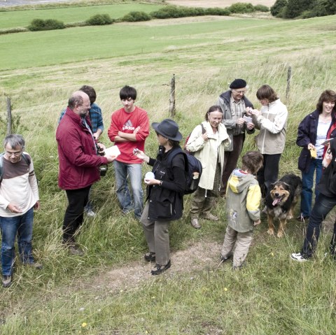 Eine Gruppe von 13 Personen und einem Hund steht auf einem Pfad neben einer großen Wiese. Zwei Personen der Gruppe tragen schwarze Kleidung und einen großen Hut. Diese zwei erzählen der Gruppe etwas.