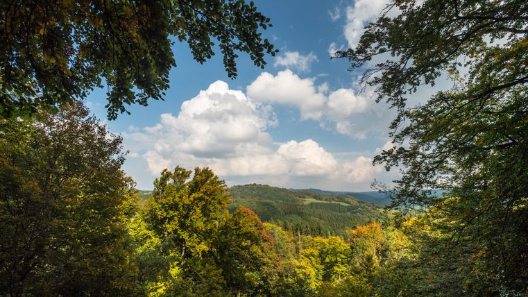Blick auf bewaldete Hügel unter blauem Himmel mit Wolken.