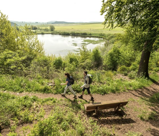 Zwei Wanderer gehen auf einem Pfad entlang eines Sees in einer grünen, hügeligen Landschaft. Eine Bank steht am Wegesrand., © Eifel Tourismus GmbH, Dominik Ketz
