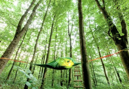 Boomtent overnachting "Dromen in de bomen"
Eifelavonturen, Berlingen