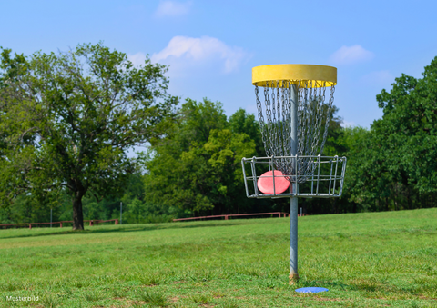 Ein Discgolf-Korb steht auf einer grünen Wiese. Im Hintergrund sind Bäume und ein klarer Himmel sichtbar.