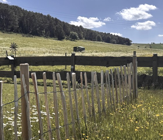 Frühsommer - Panorama
