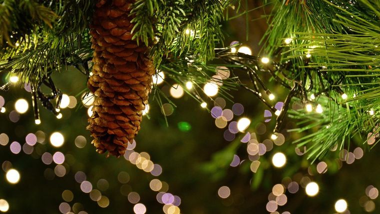 A beautiful Christmas decoration featuring fir branches and a large pinecone. In the background, lights of various colors twinkle.
