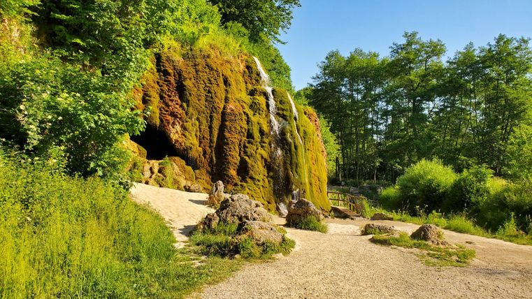 Ein Wasserfall fließt über moosbedeckte Felsen in eine grüne Landschaft. Umgeben von Bäumen und Wiese bietet der Ort eine ruhige und natürliche Atmosphäre.