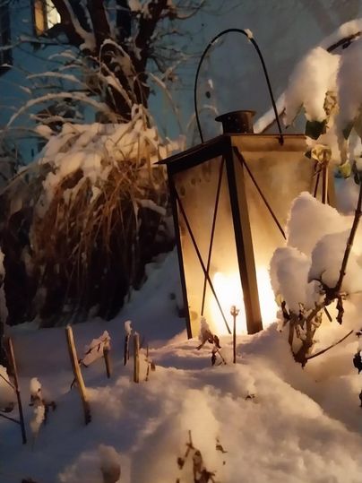 Een lantaarn straalt zachtjes in een besneeuwde omgeving. De sneeuw bedekt de grond en de planten rondom de lantaarn.