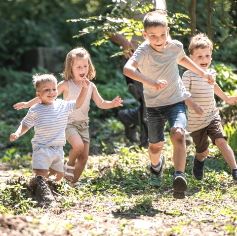 Five children run happily side by side through a forest.