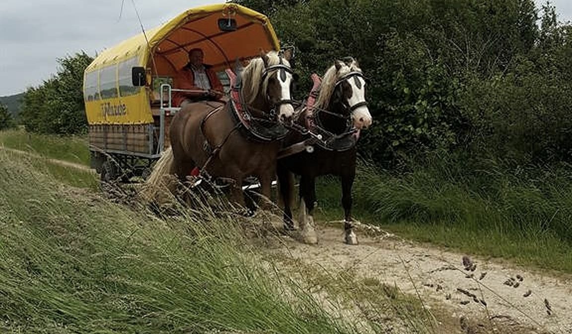 Planwagenfahrt Eifelkutsche (2), © Barger