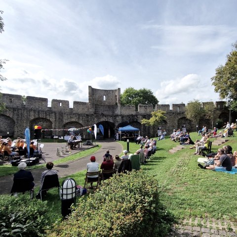 Zahlreiche Personen sitzen auf Stühlen und Decken auf einer Wiese im Park und schauen zur kleinen Bühne mit Musikverein und Lesern vor der Hillesheimer Stadtmauer