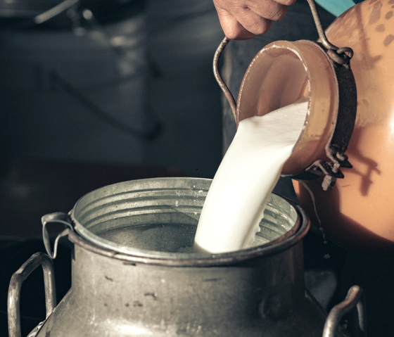 Milchherstellung, &copy; canva