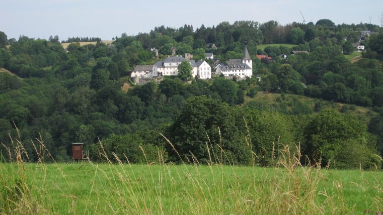 Blick auf Kronenburg mit grüner Landschaft und historischen Gebäuden.