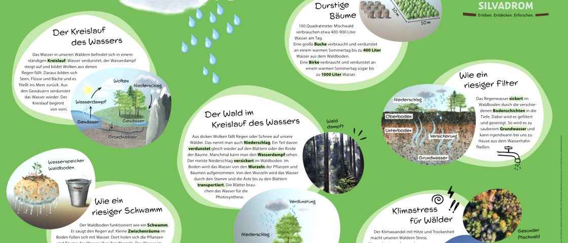Informationsschild "Wasser im Wald" mit Infos zum Wasserkreislauf, Wasserfilterung, Klima und vieles mehr.