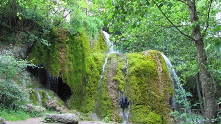 Ein malerischer Wasserfall umgeben von üppigem Grün und Moos. Die Natur bietet eine ruhige und friedliche Atmosphäre.