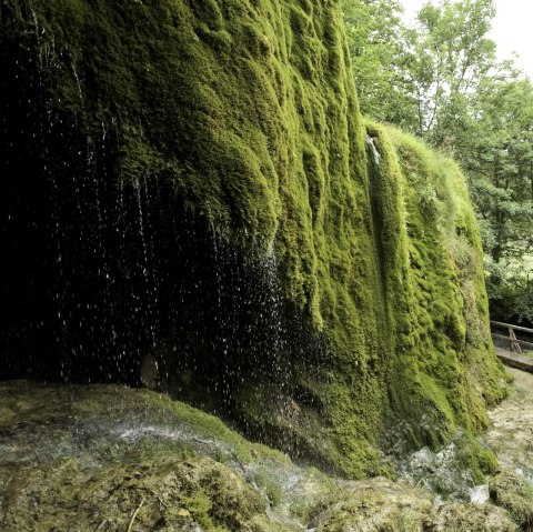 Kalkeifel cycle path: the Nohn waterfall is worth a stopover, © Rheinland-Pfalz Tourismus GmbH/D. Ketz