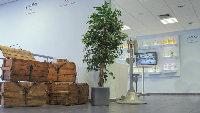 Gerolsteiner Besucherzentrum mit Holzkisten, Pflanze und Getränkeflaschen an der Wand. Ein Bildschirm zeigt ein Video.