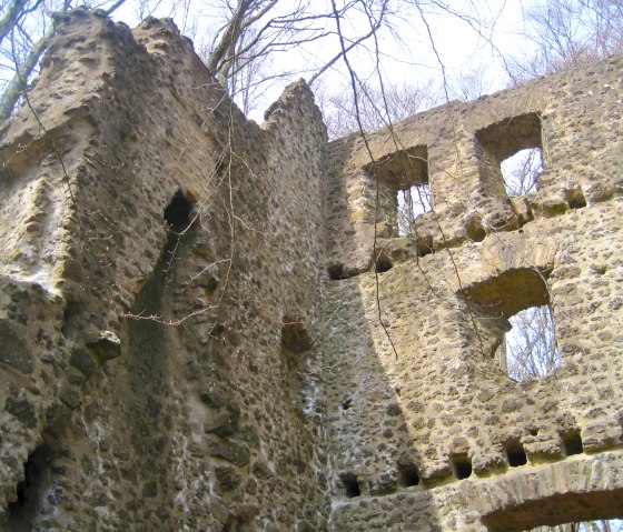 Freudenkoppe castle ruins, © Touristik GmbH Gerolsteiner Land, Ute Klinkhammer