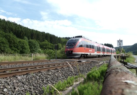 Eine Regionalbahn , die durch gr&uuml;ne W&auml;lder auf Schienen f&auml;hrt.