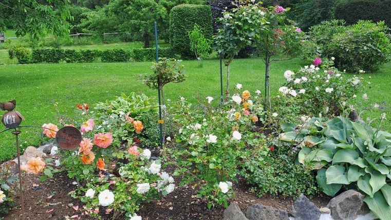 Ein bunter Garten mit verschiedenen Blumen und Sträuchern. Im Hintergrund ist eine grüne Wiese zu sehen.