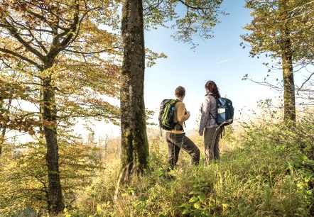 Een man en een vrouw in wandelkleding staan aan de rand van een dicht bos bij stralend herfstweer en kijken in de verte. 