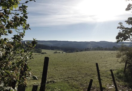 Morgensonne über grüner Wiese mit Bäumen und Sträuchern im Vordergrund. Der Himmel ist klar und blau., © Touristik GmbH Gerolsteiner Land