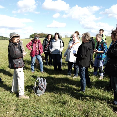 Gruppe auf Eifelkrimi-Wanderweg, &copy; Nebel