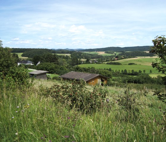 Grüne Landschaft mit Wiesen, Bäumen und einem kleinen Haus im Vordergrund. Der Himmel ist blau mit wenigen Wolken., © Touristik GmbH Gerolsteiner Land, Ute Klinkhammer