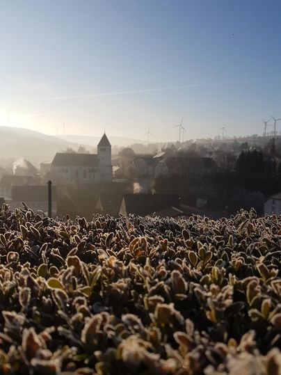 Eine frostige Landschaft mit frisch gefrorenen Pflanzen im Vordergrund. Im Hintergrund sind Silhouetten von Gebäuden und Hügeln unter einem klaren, blauen Himmel zu sehen.