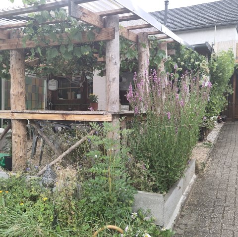 Bewachsener Außenbereich mit überdachter Terrasse vor einem Lokal.