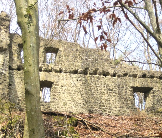 The Freudenkoppe castle ruins in Neroth, surrounded by trees. The old stone walls are partially preserved and surrounded by autumn foliage., &copy; Touristik GmbH Gerolsteiner Land, Ute Klinkhammer