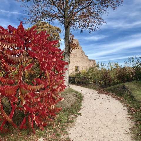 Schmaler Pfad, welcher auf eine Burgruine zuführt. Bunte Bäume und Sträucher neben dem Weg zeigen, dass Herbst ist.