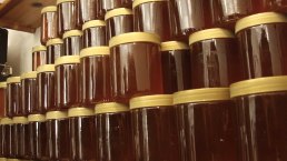 Imkerei K&ouml;rsten Honiggl&auml;ser, &copy; K&ouml;rsten