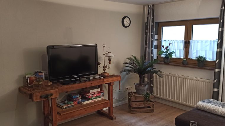 Un salon confortable avec une télévision sur une table en bois. Des éléments de plantes et des fenêtres créent une atmosphère lumineuse.