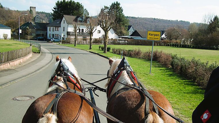 Zwei braune Pferde ziehen einen Wagen durch eine ländliche Straße in Kerpen, während im Hintergrund Häuser und Hügel zu sehen sind.