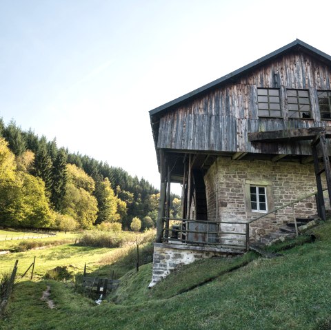 Hinterbüsch pad: Snijmolen bij Meisburg, © Eifel Tourismus GmbH/D.Ketz