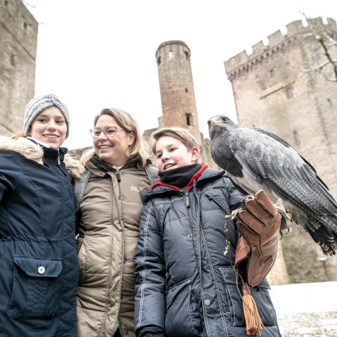 Kasselburg mit Gästen, © Eifel Tourismus GmbH, Dominik Ketz