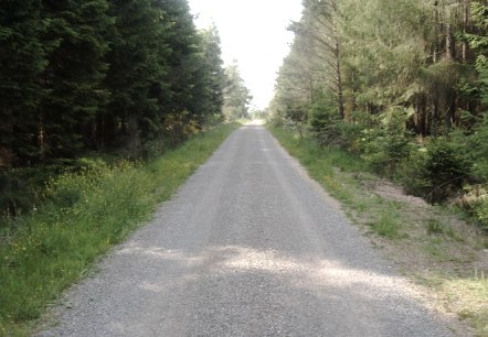 Römerstraße (2), © Touristik GmbH Gerolsteiner Land