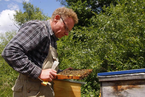 Mann trägt Arbeitskleidung und hält ein Brett, wo viele Bienen drauf sind, in der Hand - im Hintergrund sind Büume und der Himmel ist wolkenlos