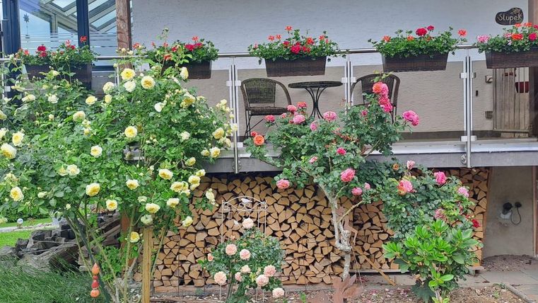 Ein schöner Balkon mit Blumenkästen voller Blumen und einer Holzlager. Vor dem Balkon stehen blühende Rosensträucher in verschiedenen Farben.