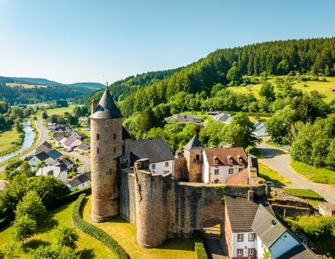 Vogelperspektive auf die noch fast vollständig erhaltene Bertradaburg hoch über Mürlenbach umgeben von blühenden Wiesen, Wald und Gebäuden.