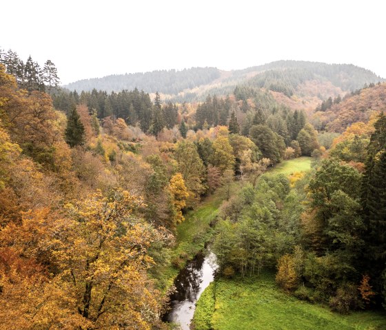 Uitzicht in het Liesertal, © Eifel Tourismus GmbH, D. Ketz