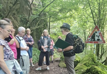 Mehrere Wanderer stehen nebeneinander auf einem Waldpfad und schauen zu einer Dame, die Ihnen etwas erkl&auml;rt oder vorliest.