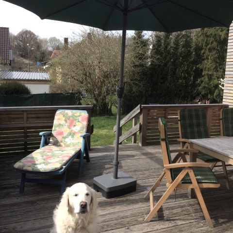 Terrasse mit Hund, © Burkhard Bujotzek